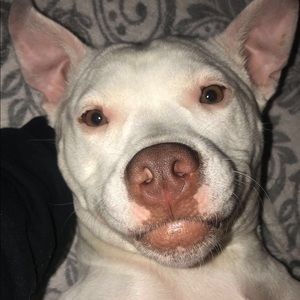 Meet your Posher, Tori